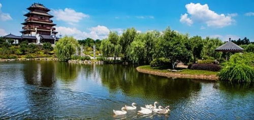 心動之旅！僅99元，12月3日韶山、花明樓純玩一日游，開啟紅色文化體驗