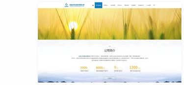 昆明奧遠科技 云天化股份的數字化伙伴，一站式網絡服務解決方案提供商